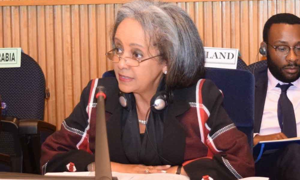 Sahle-Work Zewde, Ethiopian President