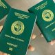 2020 Nigerian E-Passport Intervention in Houston, TX