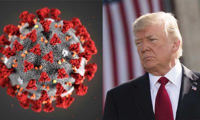 Trump and Coronavirus